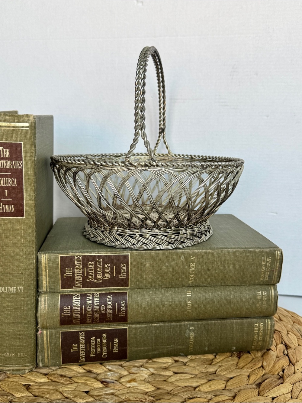 Vintage Silver Woven Wire Basket with Handle Decorative Home Accent